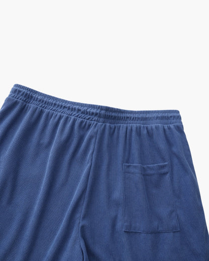 Beachstride Shorts